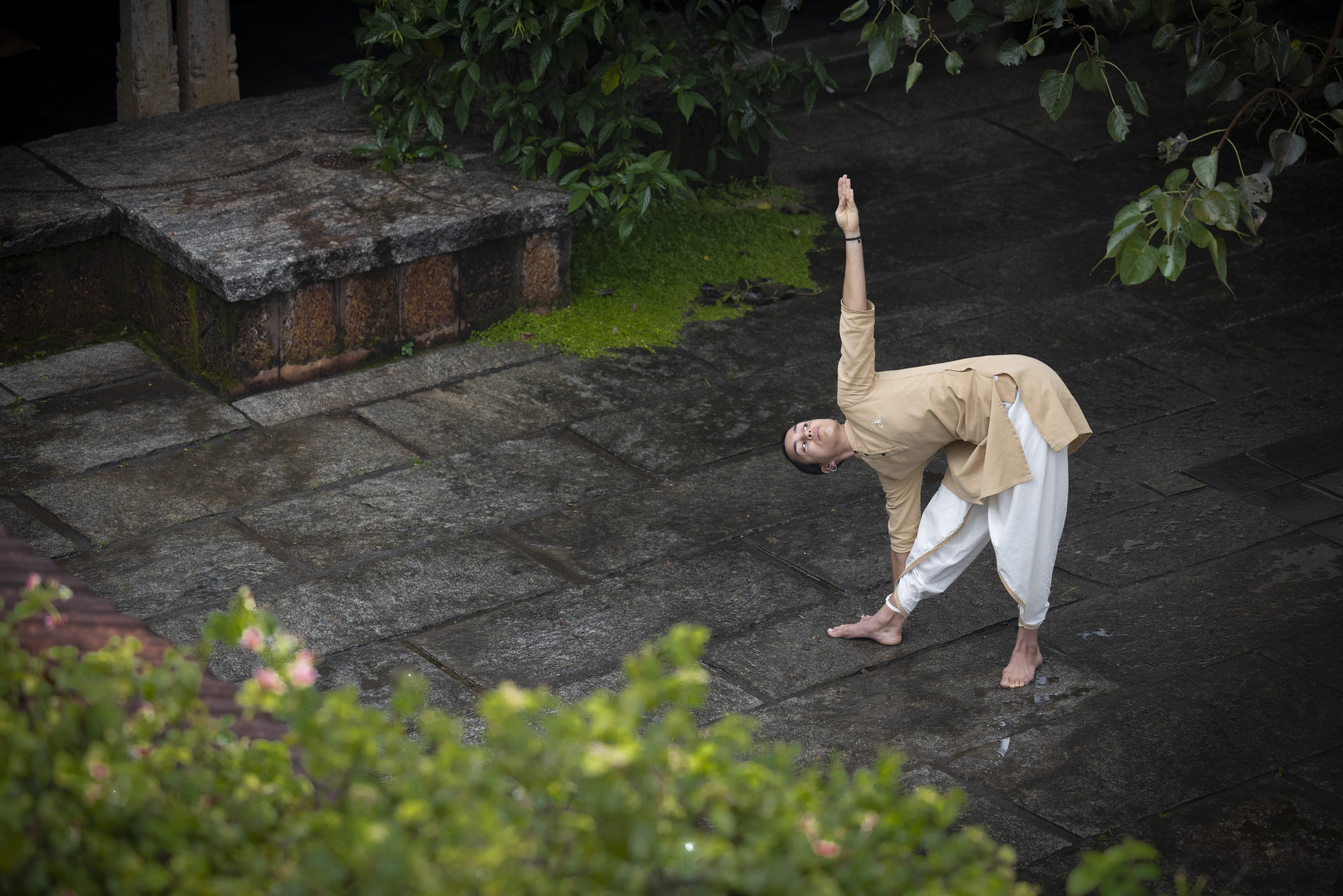 Yogasanas Upcoming Programs